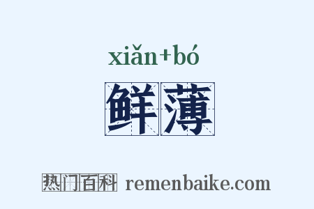 鲜薄是什么意思的图片